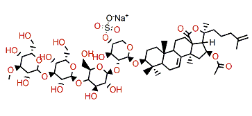 Okhotoside B1